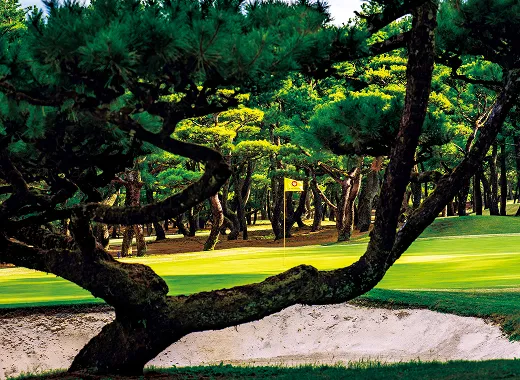 PHOENIX COUNTRY CLUB