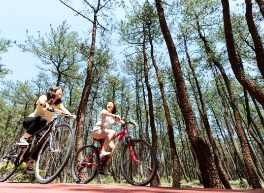 推荐的生活方式